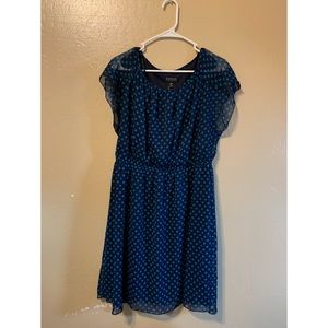 Enfocus Women black and blue polka dot dress